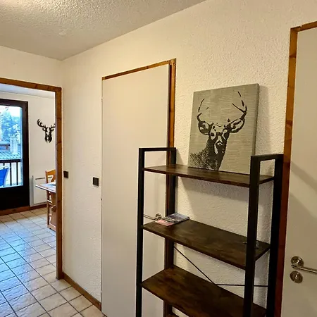 Champs Fleuris 3 Apartment Les Carroz d'Araches